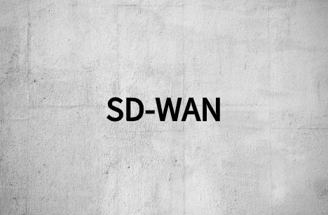 如何选择：揭示了SD-WAN的3类