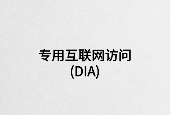 专用互联网访问(DIA)