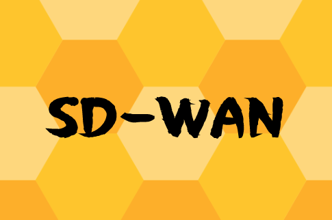 太阳成集团tyc151ccSD-WAN组网解决方案