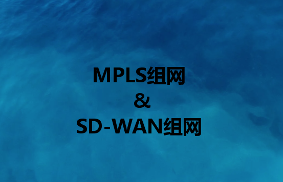 企业组网解决方案：组网或SD-WAN组网