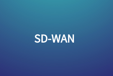 面向金融机构的阿里云SDWAN解决方案
