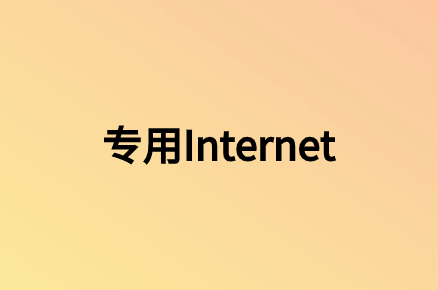 使用专用Internet访问有哪些优势?
